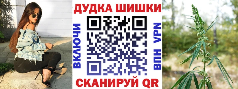 Канабис планчик  Суворов 